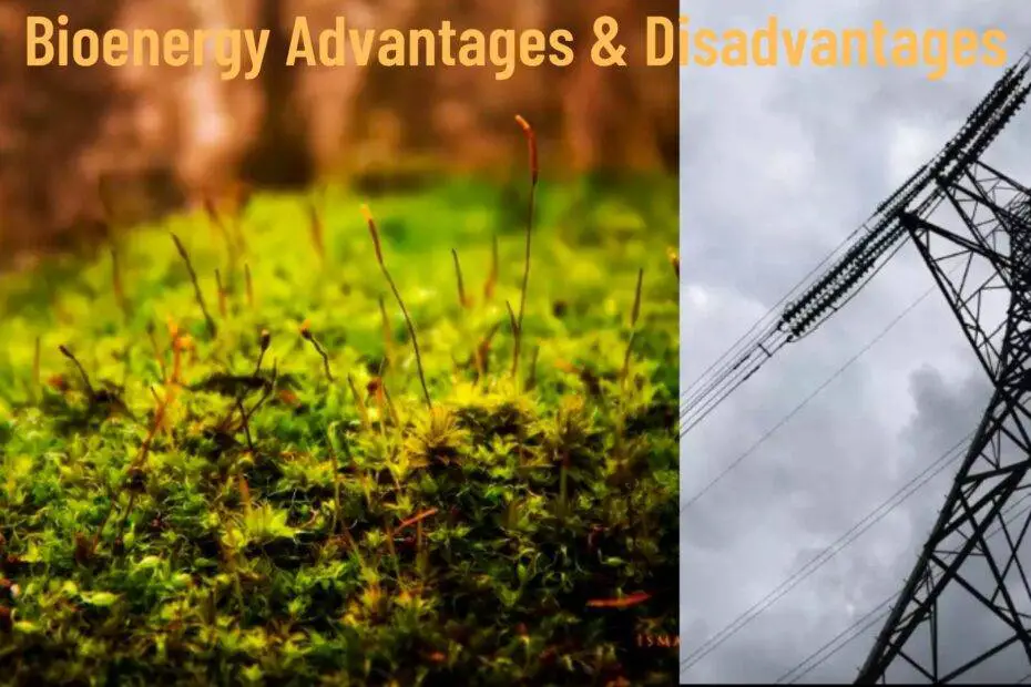 Bioenergy Advantages & Disadvantages