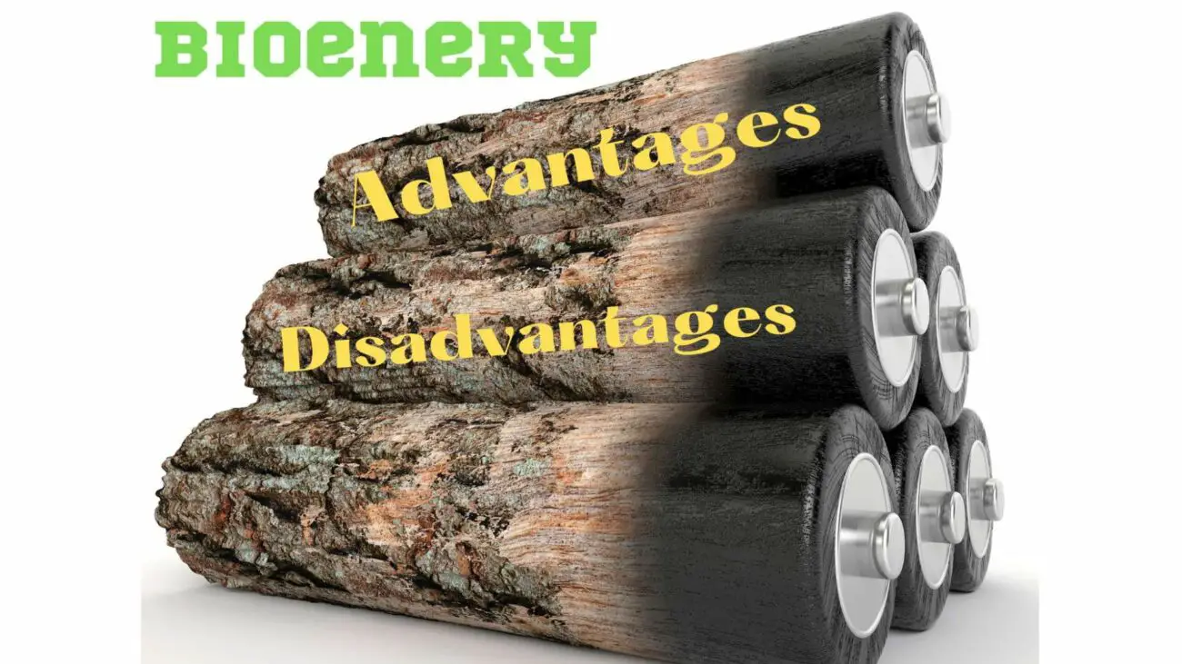 Bioenergy Advantages & Disadvantages