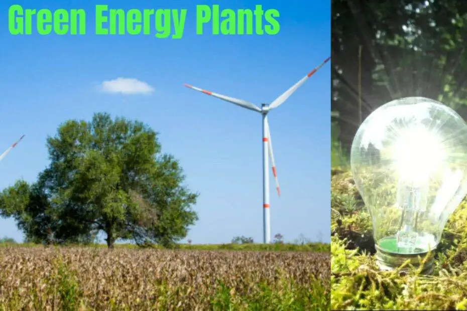 Green Energy Plants