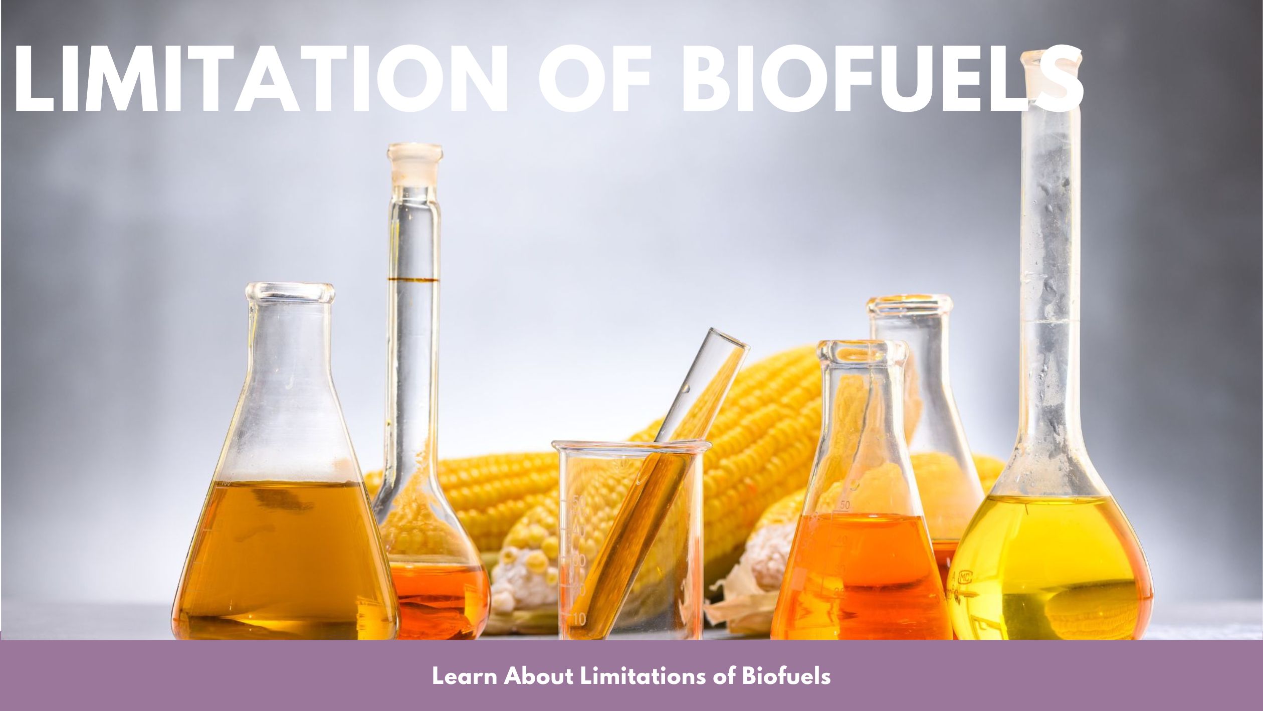 limitation of biofuels