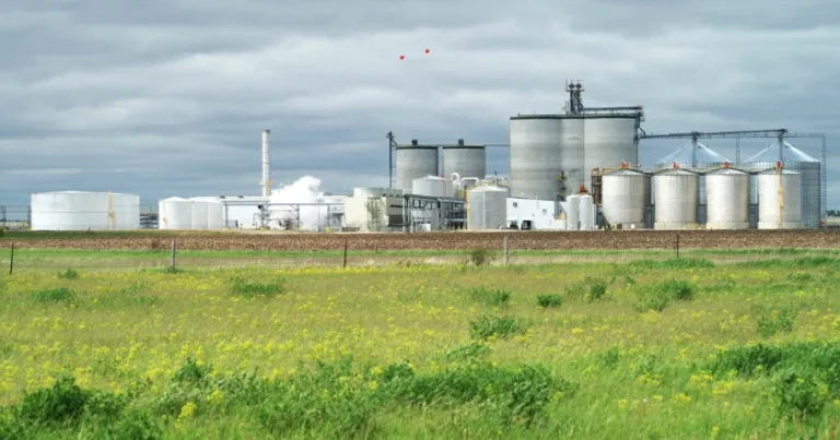 india blending ethanol