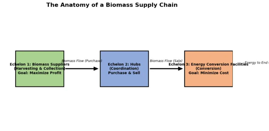 The Anatomy of a Biomass Supply Chain