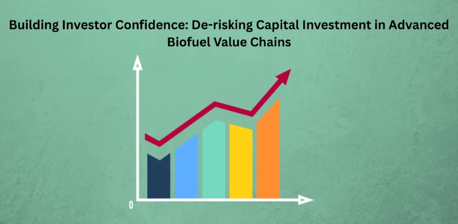 Building Investor Confidence De Risking Capital Investment In Advanced Biofuel Value Chains