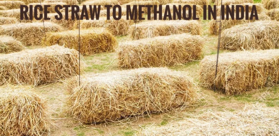 RICE STRAW TO METHANOL