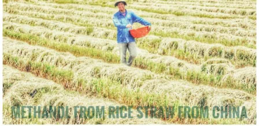 rice straw from china