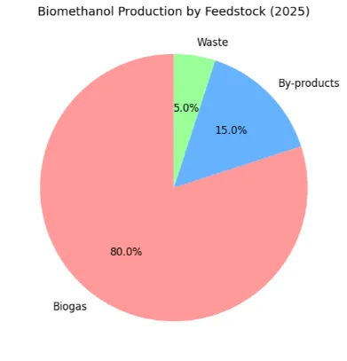 Biomethanol 2025 production by Feedstock