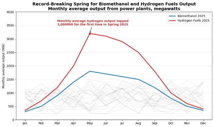 biomethanol and hydrogen fuels