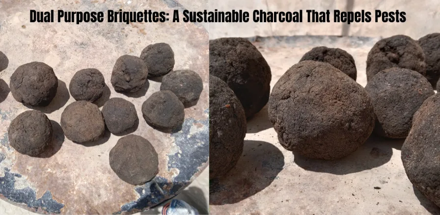Dark round briquettes made from sustainable charcoal, shown in two side-by-side views on a flat surface.