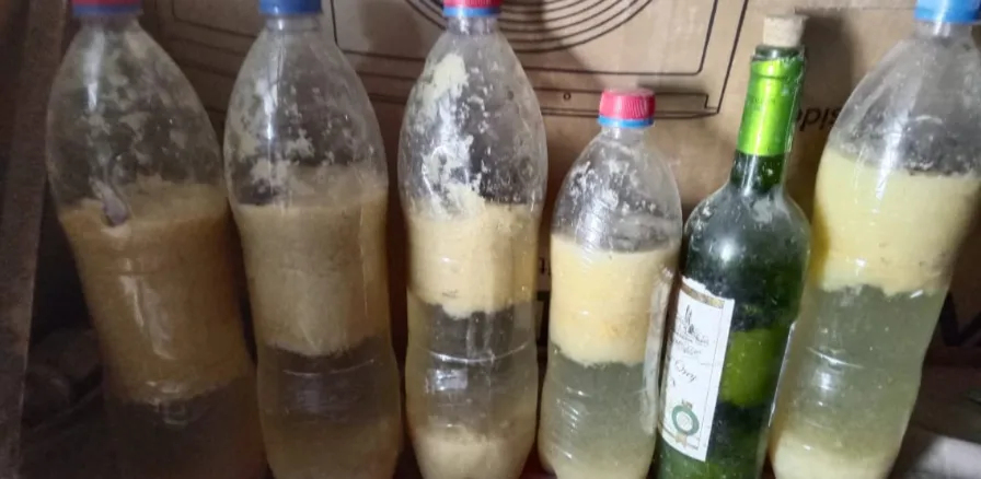 Household Vegetable used in the manufacture of the Binding Agent